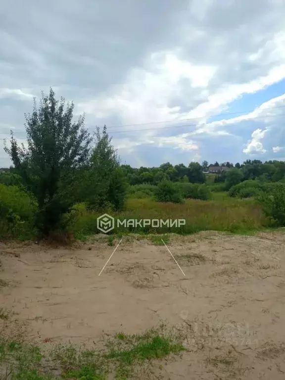 Участок в Брянская область, Брянский район, Добрунское с/пос, д. ... - Фото 1