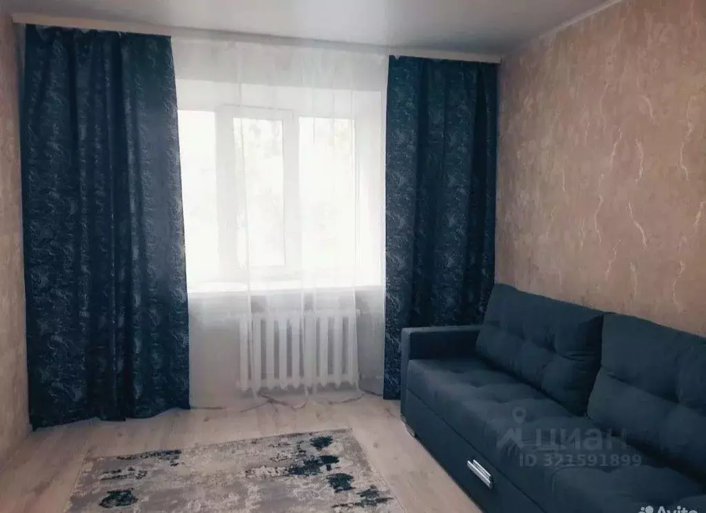 1-к кв. Нижегородская область, Арзамас ул. Мира, 19к1 (18.0 м) - Фото 0