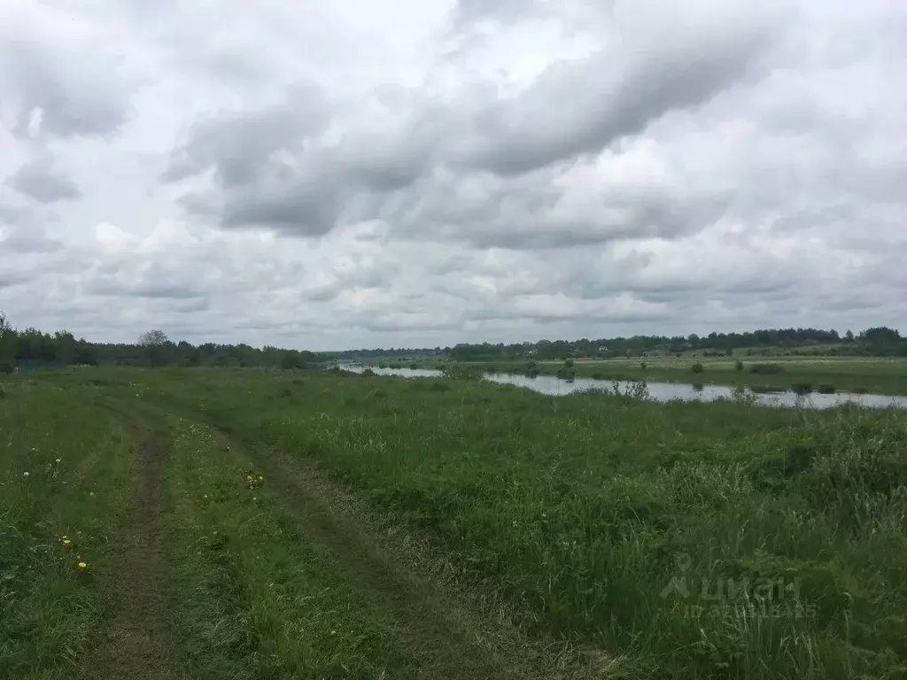 Участок в Псковская область, Палкинский район, Новоуситовская волость, ... - Фото 1