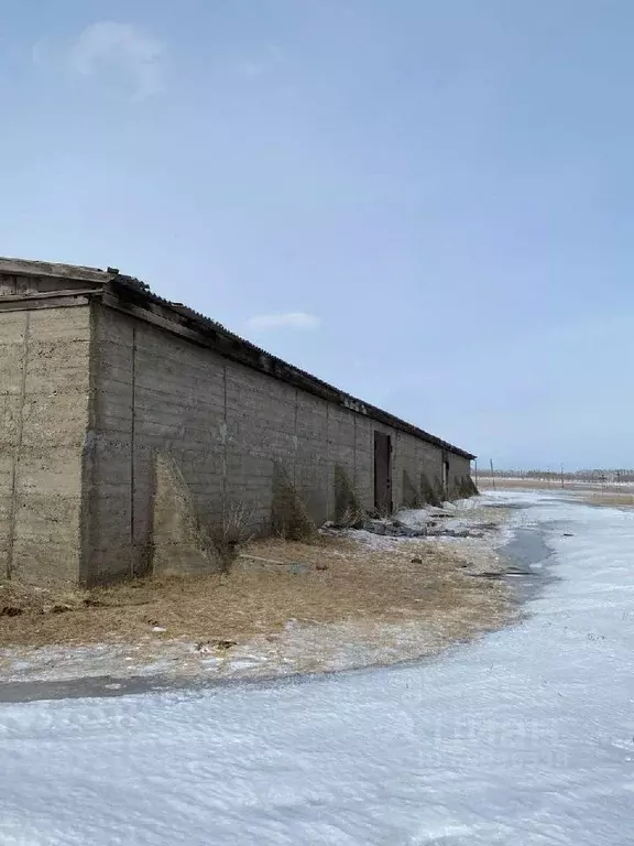 Склад в Алтайский край, Краснощековский район, Верх-Камышенский ... - Фото 1