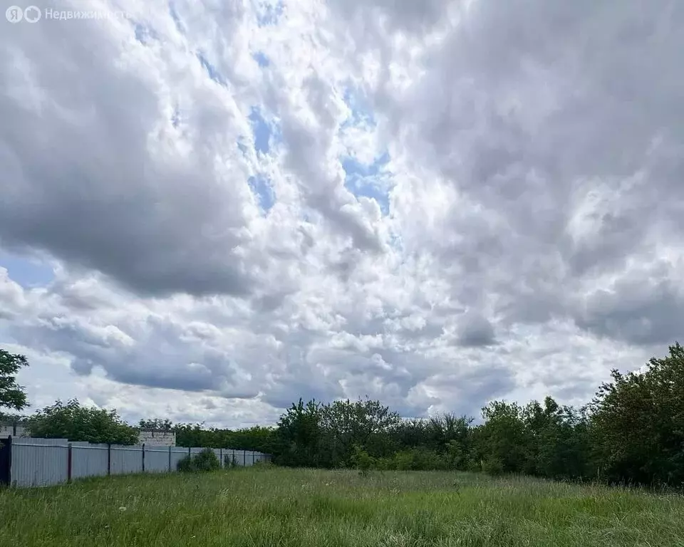 Участок в Белгородская область, Яковлевский муниципальный округ, СНТ ... - Фото 1