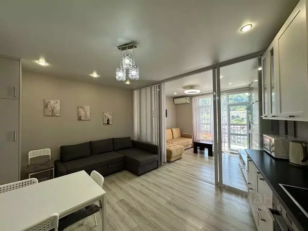 Студия Краснодарский край, Сочи городской округ, Дагомыс пгт ул. ... - Фото 1