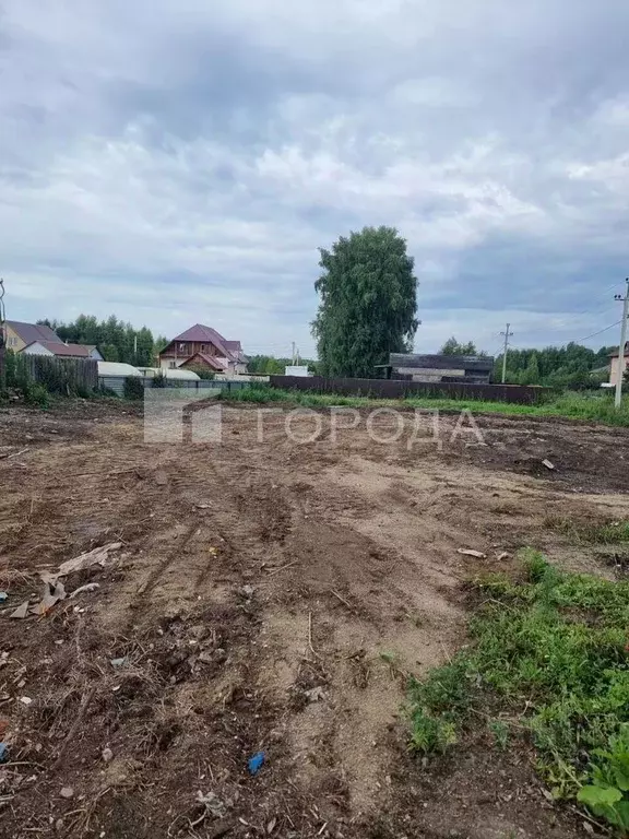 Участок в Новосибирская область, Новосибирский район, Кудряшовский ... - Фото 1