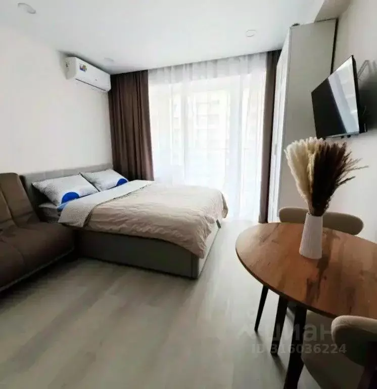 1-к кв. Краснодарский край, Сочи городской округ, Дагомыс пгт ул. ... - Фото 2