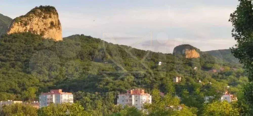 Участок 20 сот. (СНТ, ДНП) - Фото 1