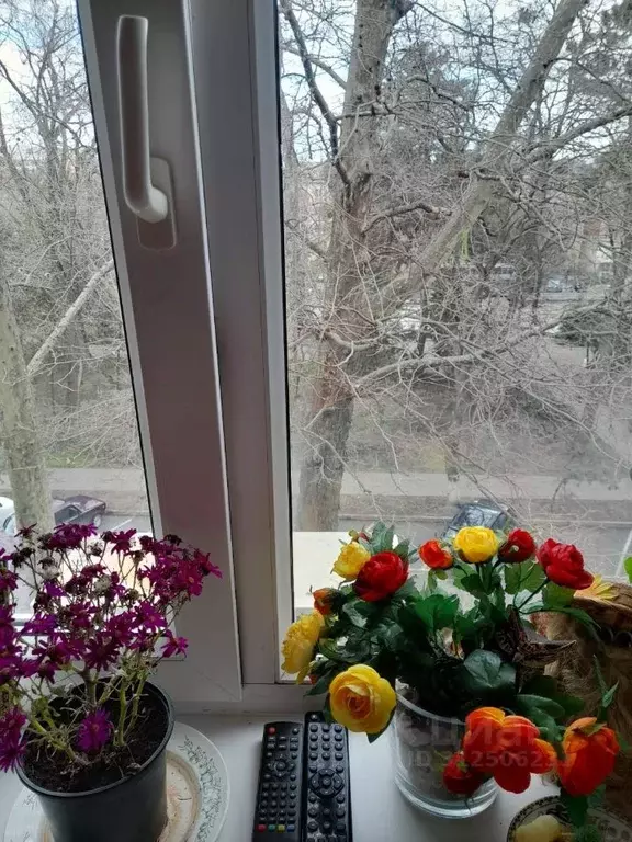 1-к кв. Краснодарский край, Анапа ул. Протапова, 60 (33.0 м) - Фото 1