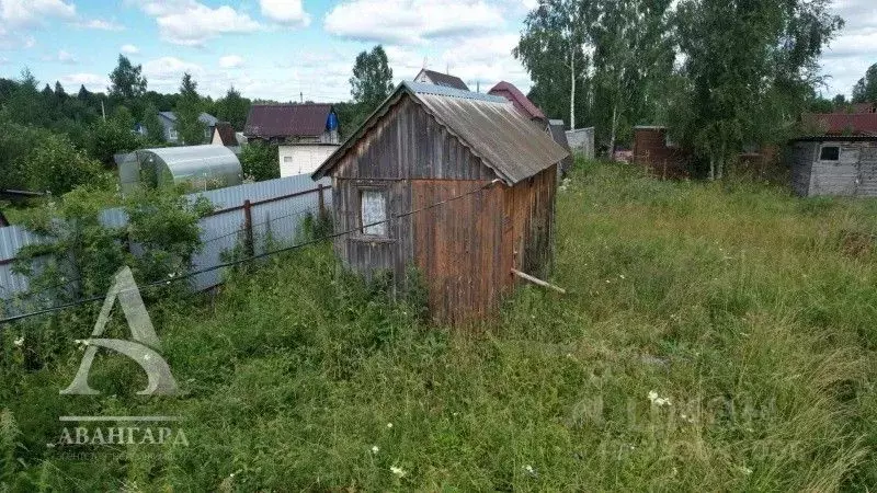 Дом в Московская область, Клин городской округ, Лужок садовое ... - Фото 1