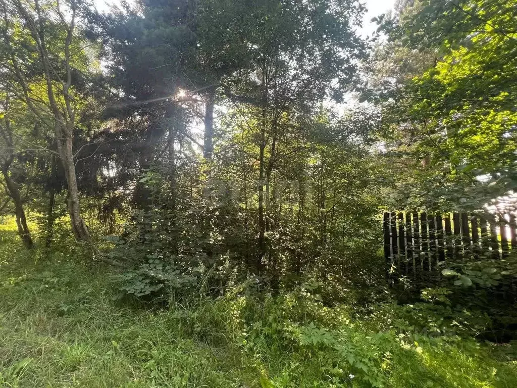 Участок в Владимирская область, Петушинское муниципальное образование, ... - Фото 1