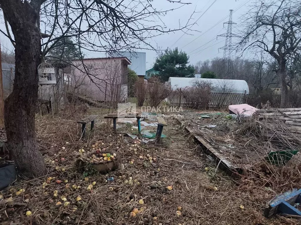 Участок в Московская область, Богородский городской округ, Березка ... - Фото 2