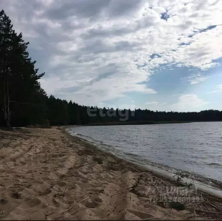 Участок в Псковская область, Куньинский район, Каськовская волость, д. ... - Фото 2