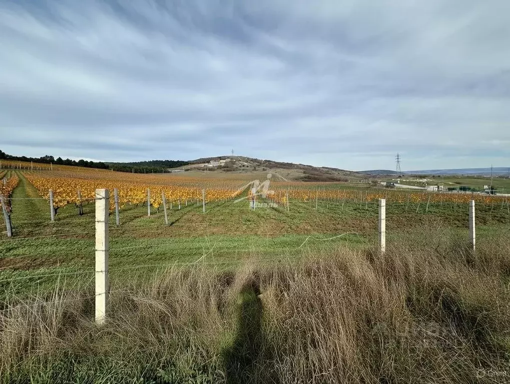 Участок в Севастополь Балаклавский муниципальный округ, с. Флотское, ... - Фото 1