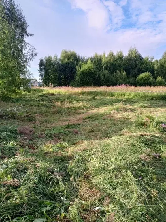 Участок в Ярославская область, Борисоглебский рп  (5.5 сот.) - Фото 2