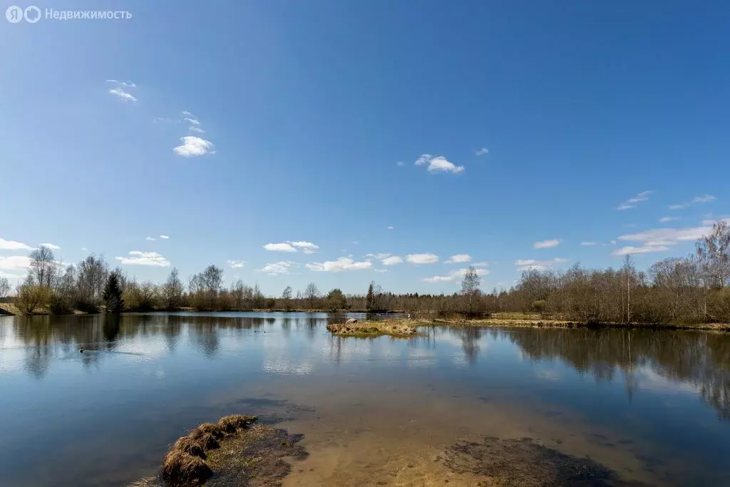 Участок в Лесколовское сельское поселение, садоводческое ... - Фото 1