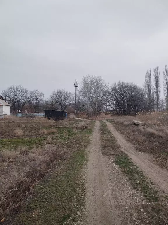 Участок в Волгоградская область, Среднеахтубинский район, Клетское ... - Фото 0