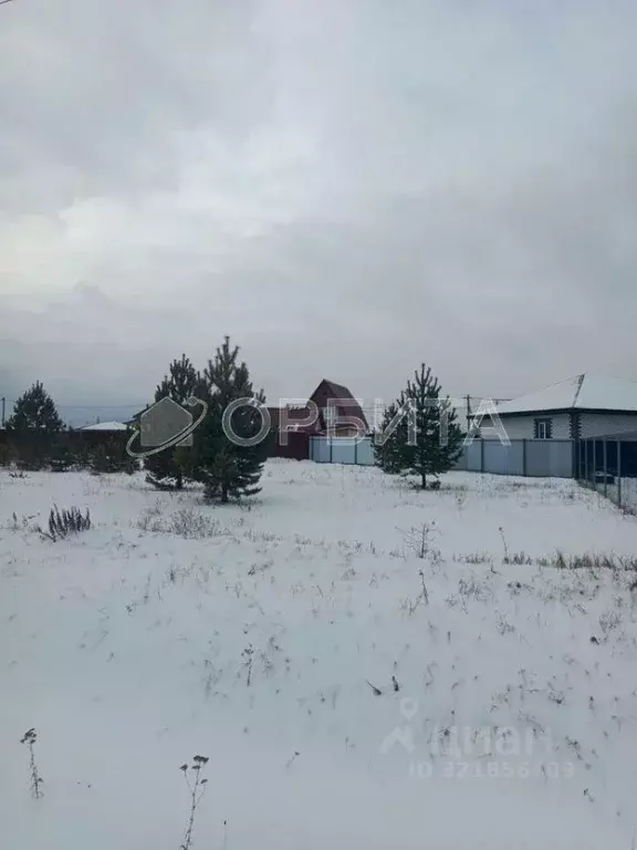 Участок в Тюменская область, Тюменский муниципальный округ, с. ... - Фото 1