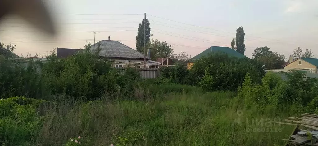 Участок в Воронежская область, Аннинское городское поселение, Анна пгт ... - Фото 0