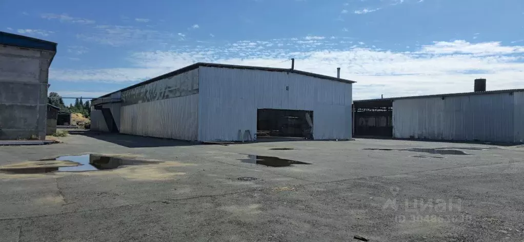 Помещение свободного назначения в Ленинградская область, ... - Фото 1