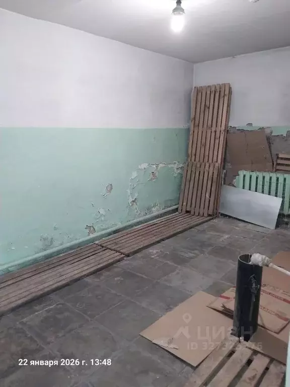 Помещение свободного назначения в Курганская область, Куртамыш ул. ... - Фото 2