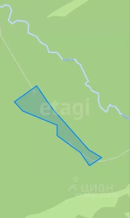 Участок в Алтайский край, Алтайский район, с. Нижнекаянча ул. ... - Фото 1