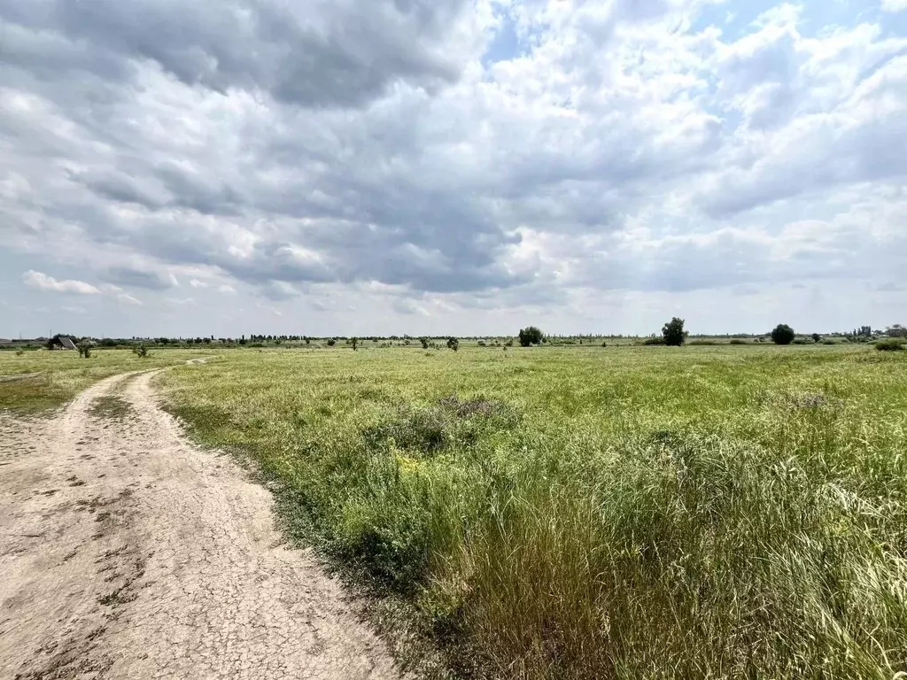 Участок в Саратовская область, Энгельсский район, Красноярское ... - Фото 1