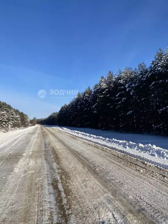 Участок в Чувашия, Чебоксарский муниципальный округ, д. Хорамакасы ул. ... - Фото 2