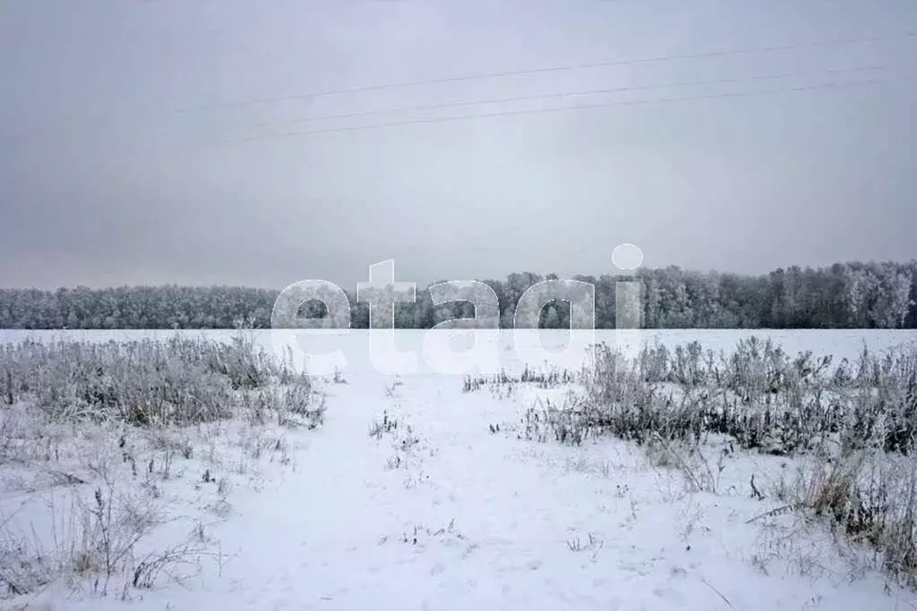 Участок в Ханты-Мансийский АО, Ханты-Мансийск Учитель-3 СОТ,  (11.6 ... - Фото 1