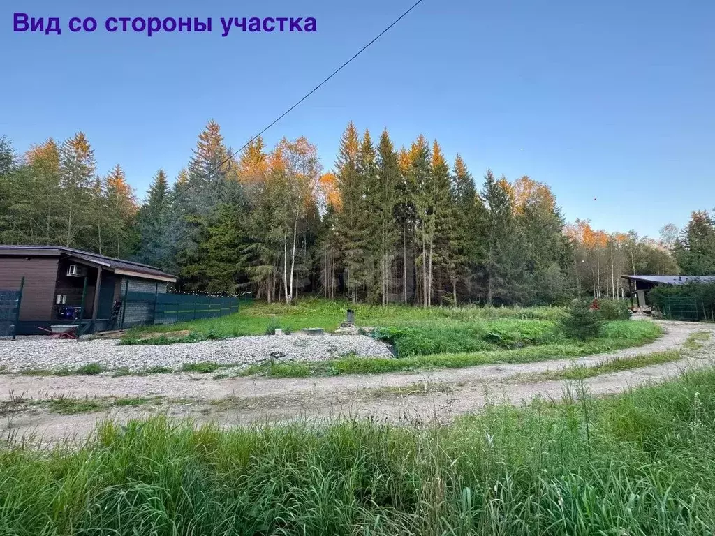 Участок в Московская область, Рузский муниципальный округ, д. Петряиха ... - Фото 1