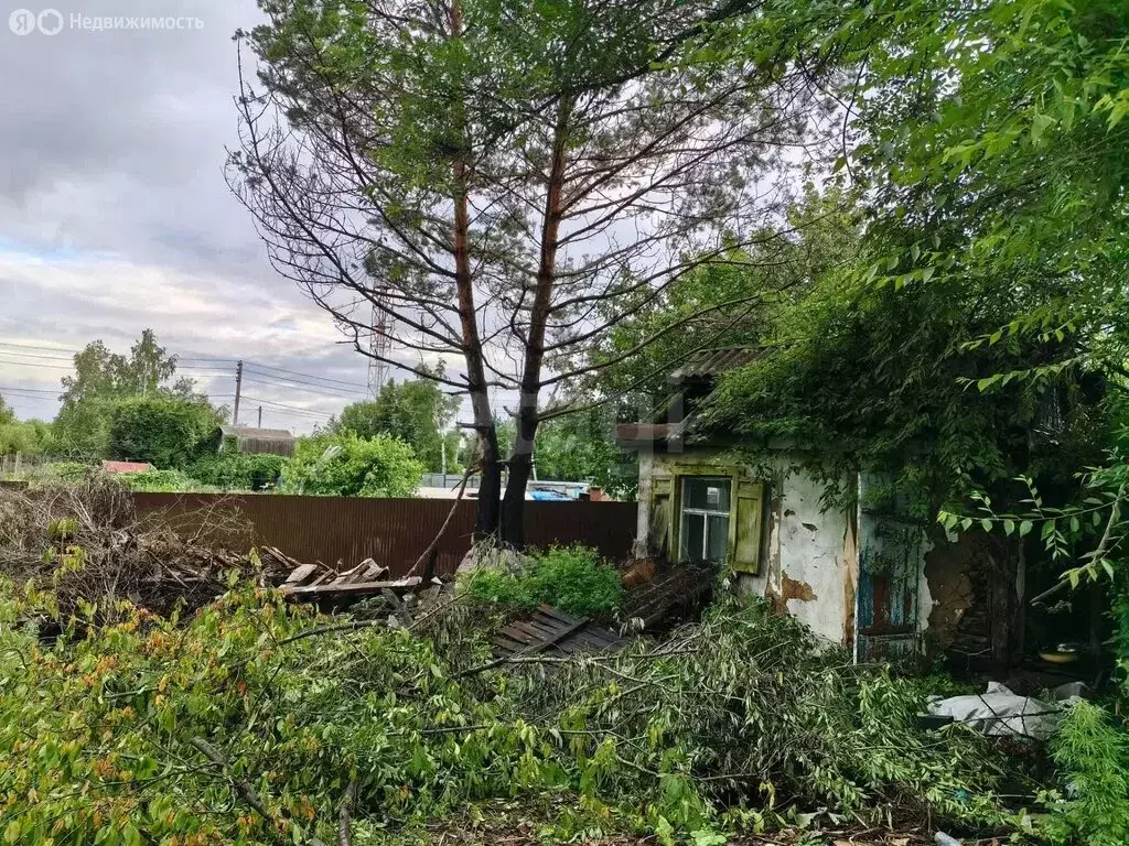 Участок в Благовещенск, СНТ Ласточка (5 м) - Фото 2