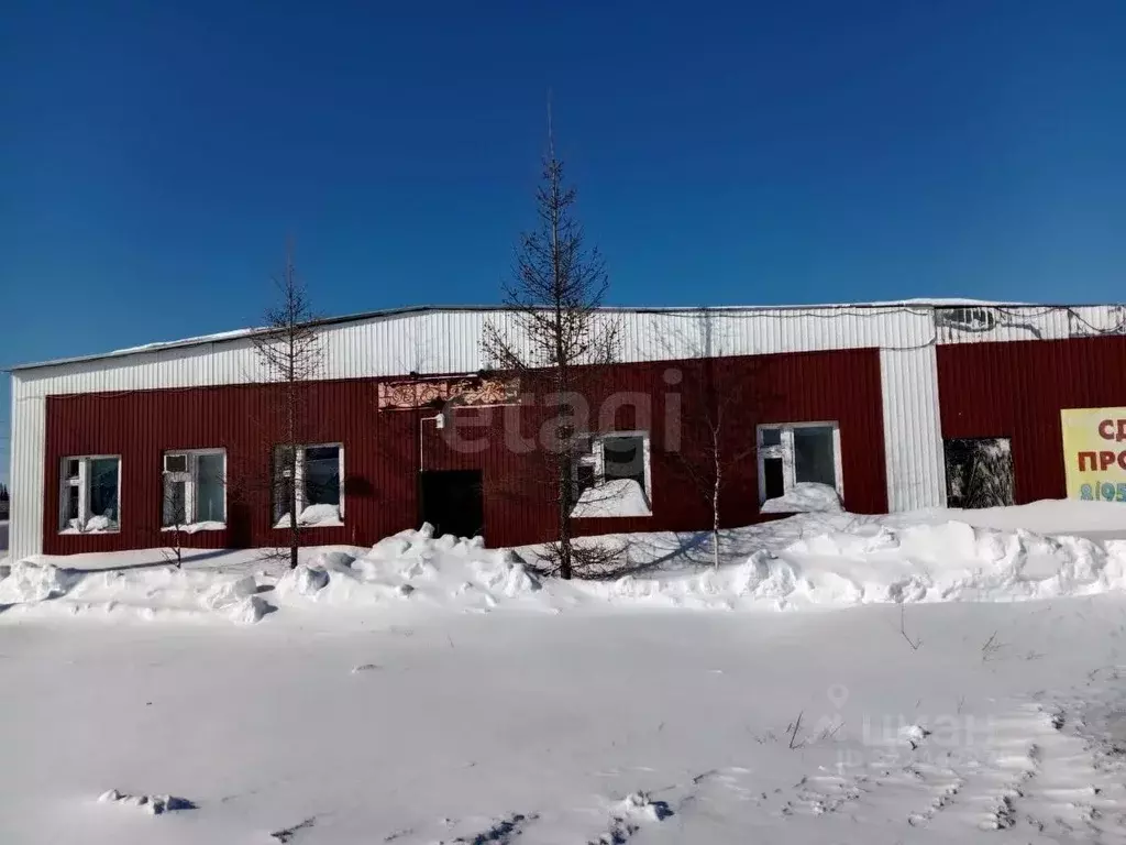 Помещение свободного назначения в Ямало-Ненецкий АО, Надымский район, ... - Фото 1