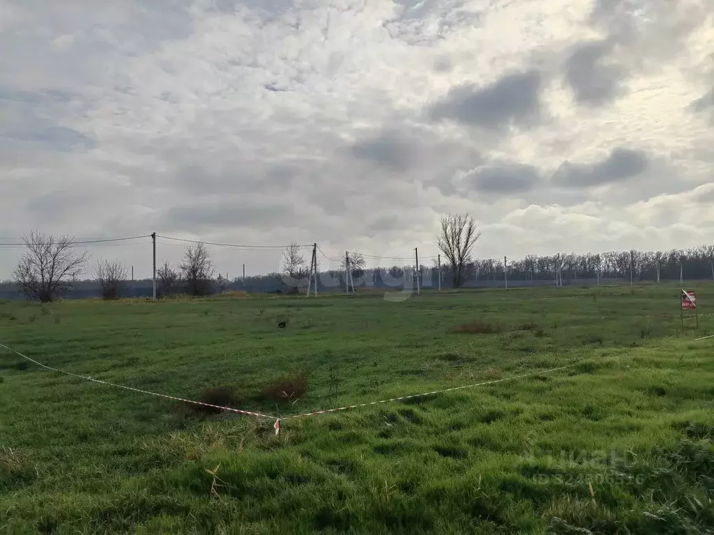 Участок в Ростовская область, Аксайский район, Ольгинское с/пос, ... - Фото 1