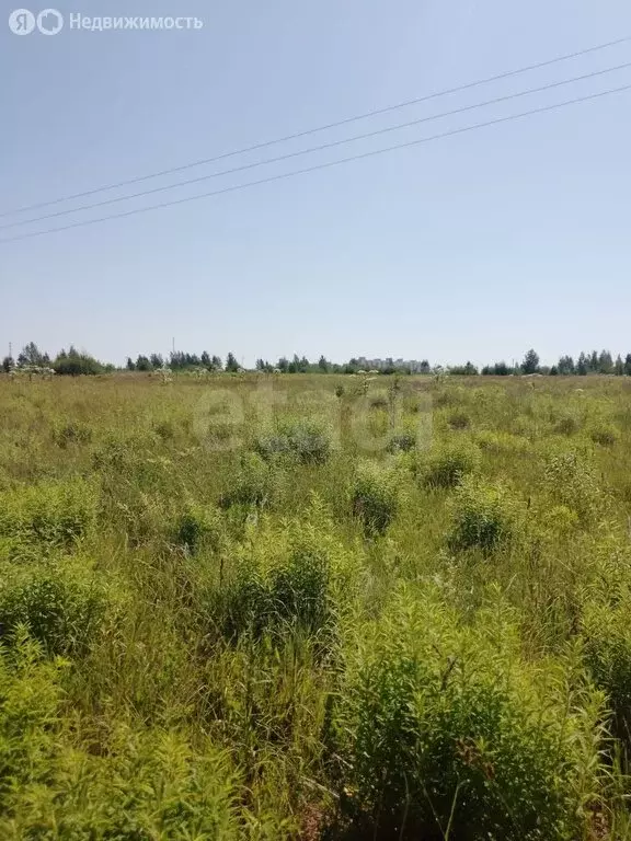 Участок в Псковский район, Завеличенская волость, деревня Борисовичи, ... - Фото 0