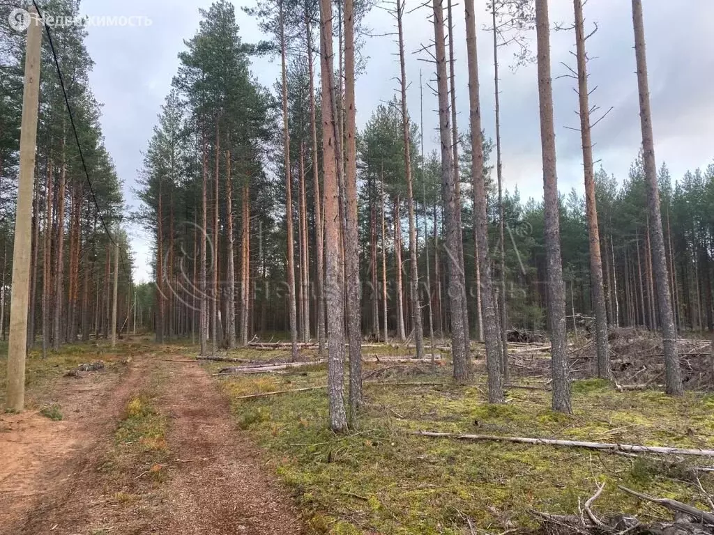 Купить Гараж В Лодейном Поле