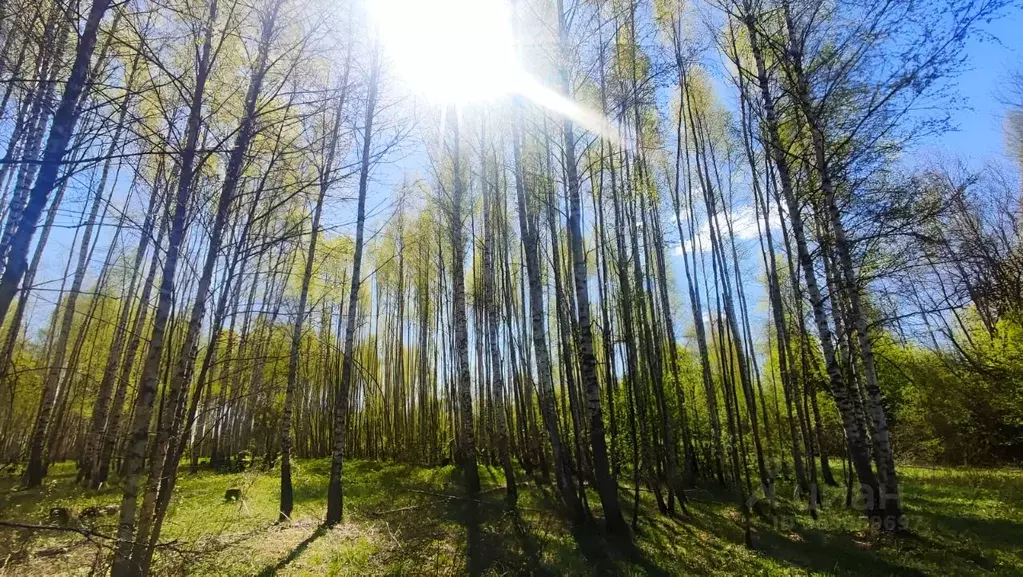 Участок в Владимирская область, Александровский район, ... - Фото 0