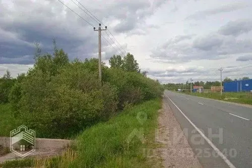 Участок в Новгородская область, Новгородский район, Бронницкое с/пос, ... - Фото 2