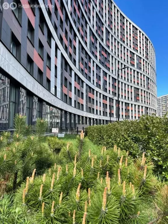 1-комнатная квартира: Мурино, проспект Авиаторов Балтики, 29к2 (32.6 ... - Фото 2