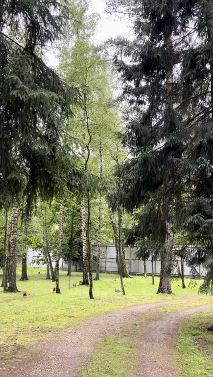 Участок в Московская область, Одинцовский городской округ, Горки-2 ... - Фото 0
