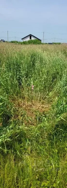 Участок в Сахалинская область, Анивский городской округ, с. ... - Фото 0