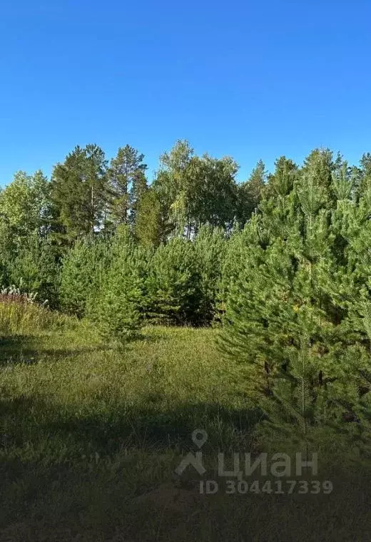 Участок в Свердловская область, Белоярский городской округ, пос. ... - Фото 0