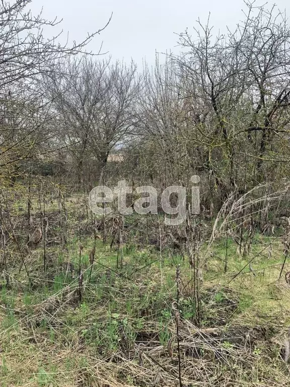 Участок в Белгородская область, Белгородский район, с. Стрелецкое, ... - Фото 0