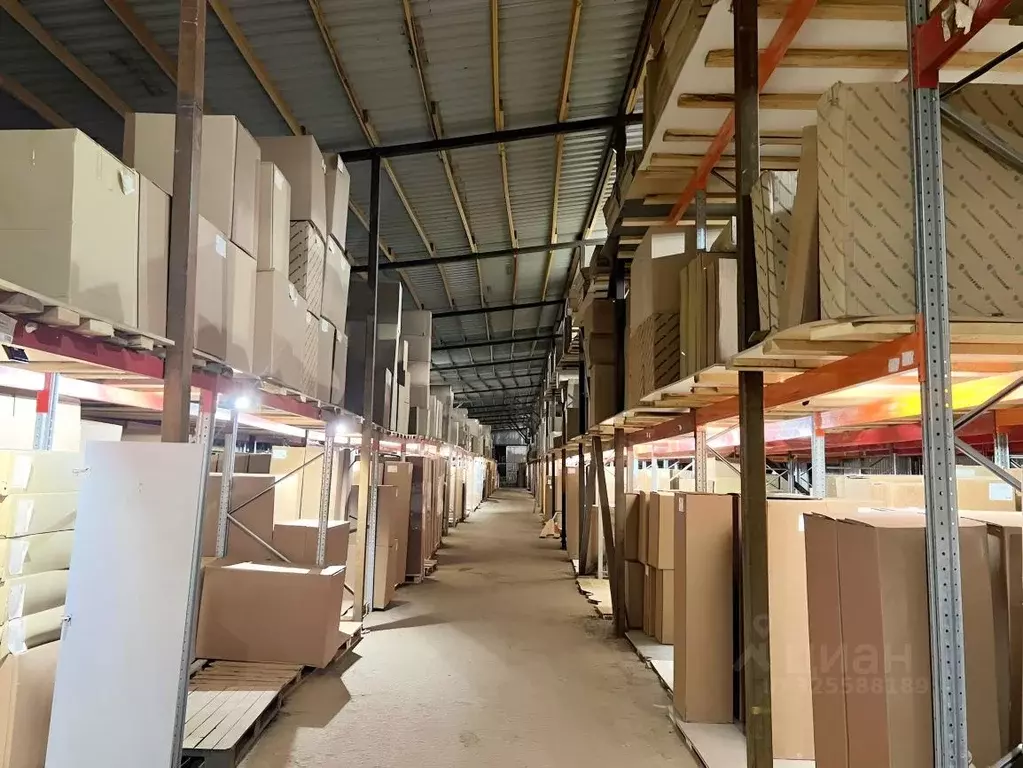 Склад в Московская область, Мытищи городской округ, д. Пирогово ул. ... - Фото 1