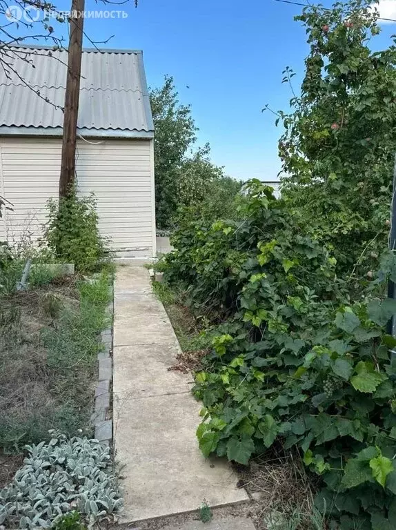 Дом в Волгоград, СНТ Нефтяник-2 (30.7 м) - Фото 2