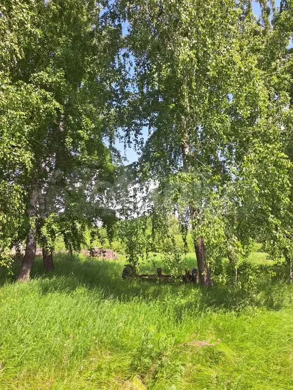 Участок 15,1 сот. (личное подсобное хозяйство (лпх)) - Фото 1