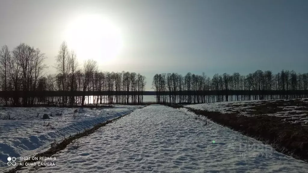 Участок в Ленинградская область, Выборгский район, Красносельское ... - Фото 0