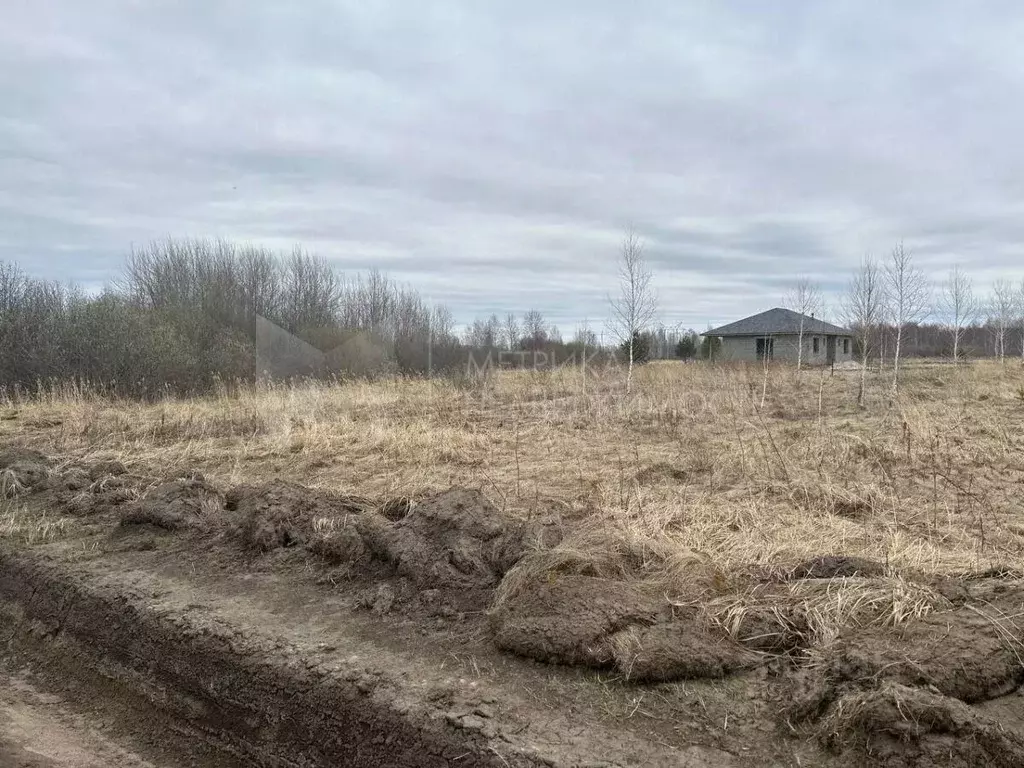 Участок в Тюменская область, Тюменский муниципальный округ, с. Борки ... - Фото 2