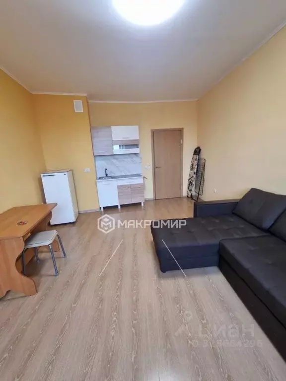 Студия Ленинградская область, Всеволожский район, д. Новое Девяткино ... - Фото 1