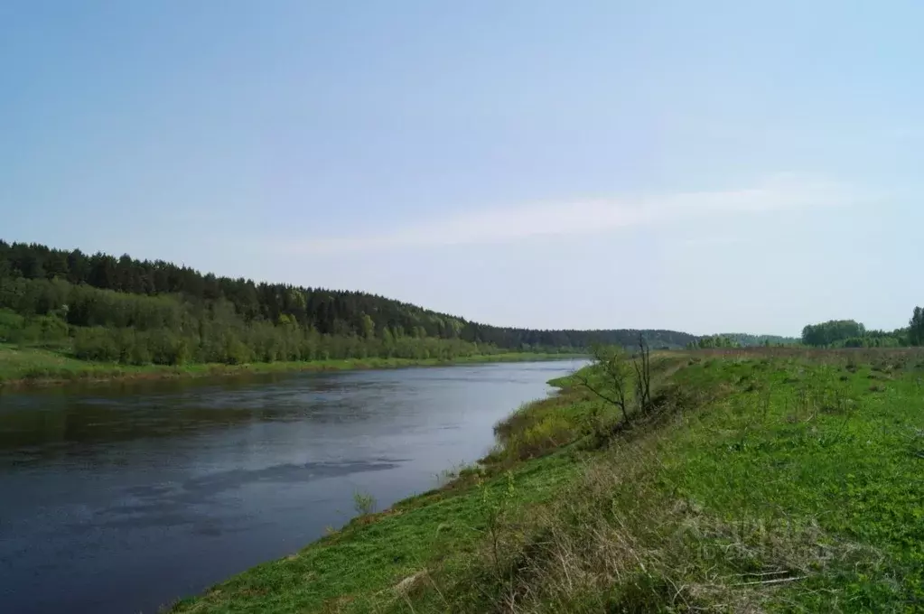 Участок в Тверская область, Старицкий муниципальный округ, д. Подол  ... - Фото 2