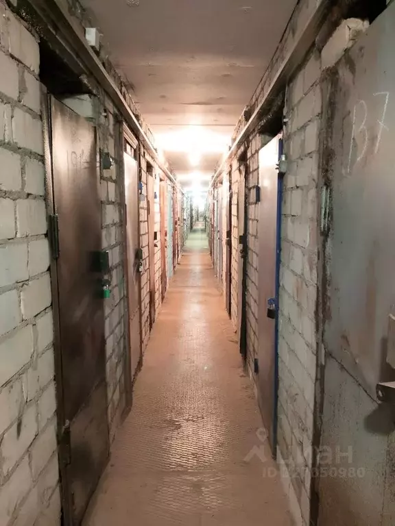 Гараж в Московская область, Мытищи пер. 1-й Рупасовский, 8С4 (8 м) - Фото 2