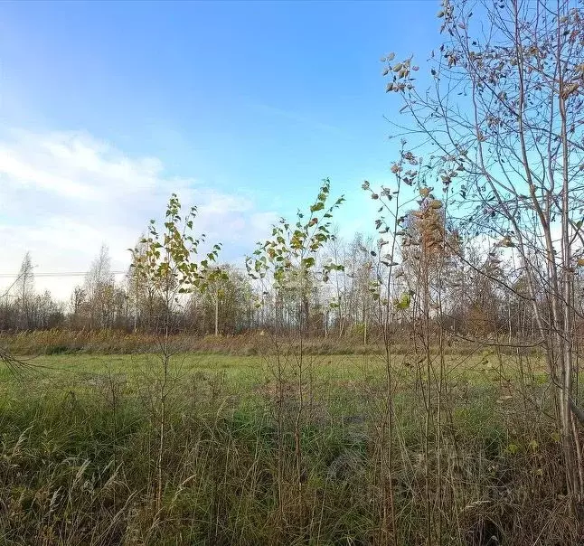 Участок в Кировская область, Слободской район, Шиховское с/пос, д. ... - Фото 0