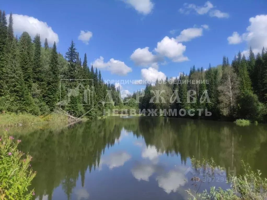 Участок в Кемеровская область, Кемеровский район, д. Тебеньковка ... - Фото 0