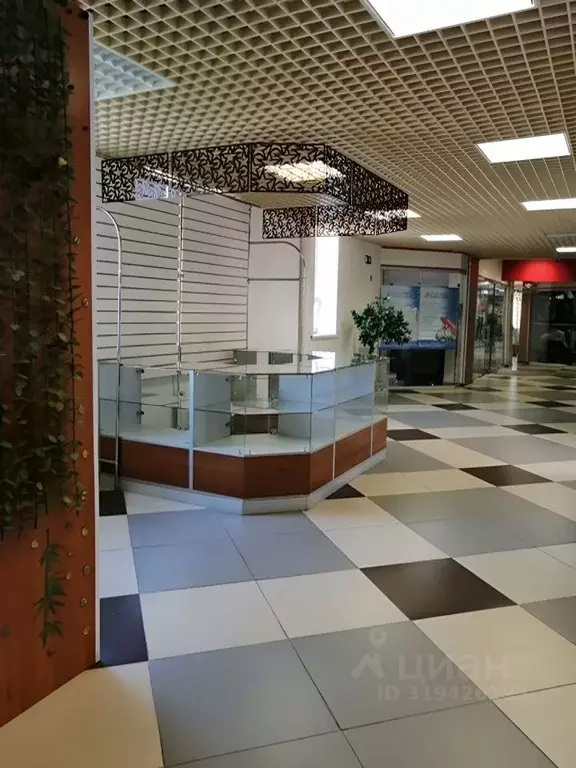 Торговая площадь в Тюменская область, Тюмень Тюменский-2 мкр, ул. ... - Фото 0